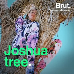 Are Social Media Influencers Damaging National Parks?