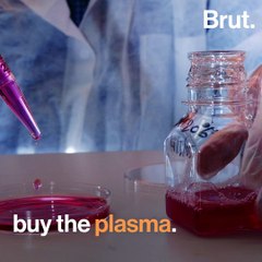 Blood farms: the exploitation and mistreatment of pregnant mares