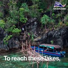 This lake is home to two incredible jellyfish species
