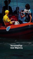 The lost whale of the Mediterranean Sea