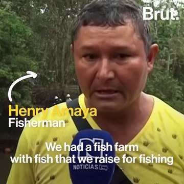 Oil leak turns into an ecological disaster in northern Colombia