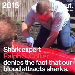 Sharks attacks in California