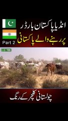 Cholistan village life - Cholistan desert - life of desert