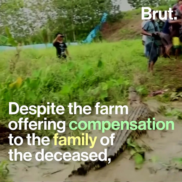 Villagers slaughter nearly 300 crocodiles