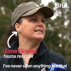 An australian driver finds a koala stuck in his truck
