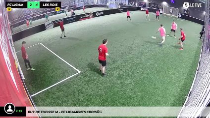 But de Theisse M - Fc Ligaments Croisés