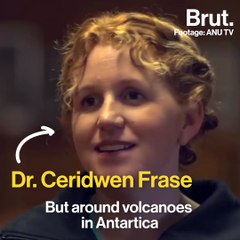 An amazing discovery in Antarctica