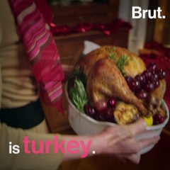 The hidden lives of farmed turkeys