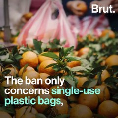 24 good news stories for planet