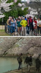 Crowds continue to gather outside