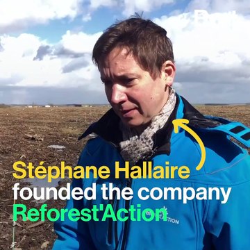 These volunteers are planting trees to fight biodiversity loss