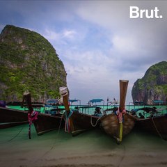 5 good news stories for the planet