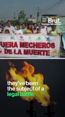 5 good news stories for the planet