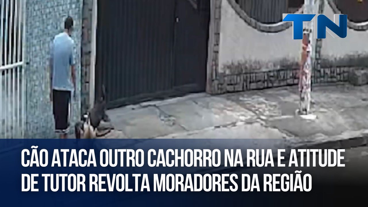 Cão ataca outro cachorro na rua e atitude de tutor revolta moradores da região