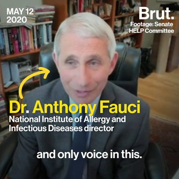 Rand Paul to Dr. Fauci: I don't think you're the end-all