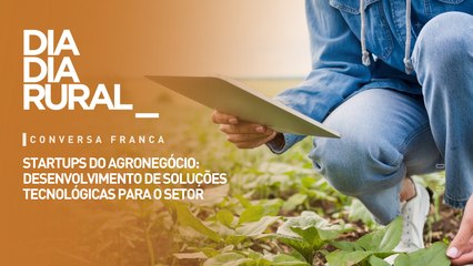 Startups do agronegócio: desenvolvimento de soluções tecnológicas para o setor