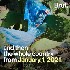 5 good news stories for the planet