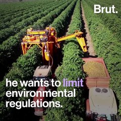 Jair Bolsonaro's views on the environment are troubling to environmental activists