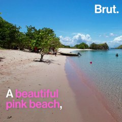 Indonesia's famous Pink Beach covered in rubbish