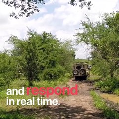 This is the largest elephant-collaring project ever performed in Tanzania