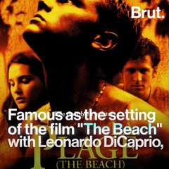 Maya Bay's ecosystem is harmed by mass tourism