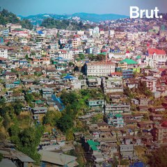 5 good news stories for the planet