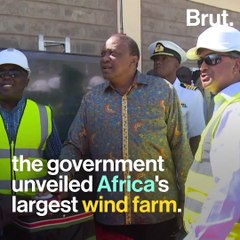 5 good news stories for the planet