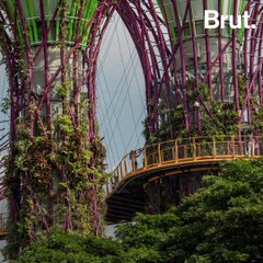 Singapore took a green approach to its development