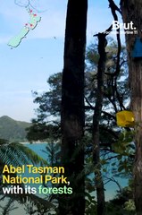 Road trip across New Zealand