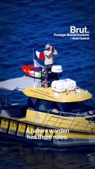 Nature wardens in New Caledonia