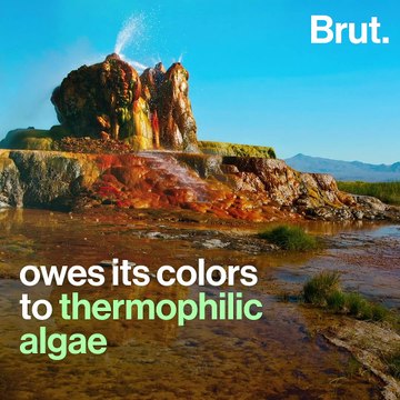 Fly Geyser in Nevada is a manmade wonder