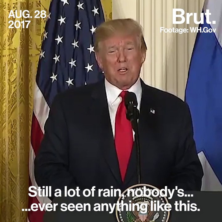Trump's "anything like this"