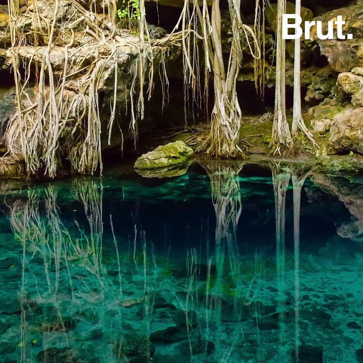 The enigmatic "cenotes" of Mexico's Yucatán peninsula