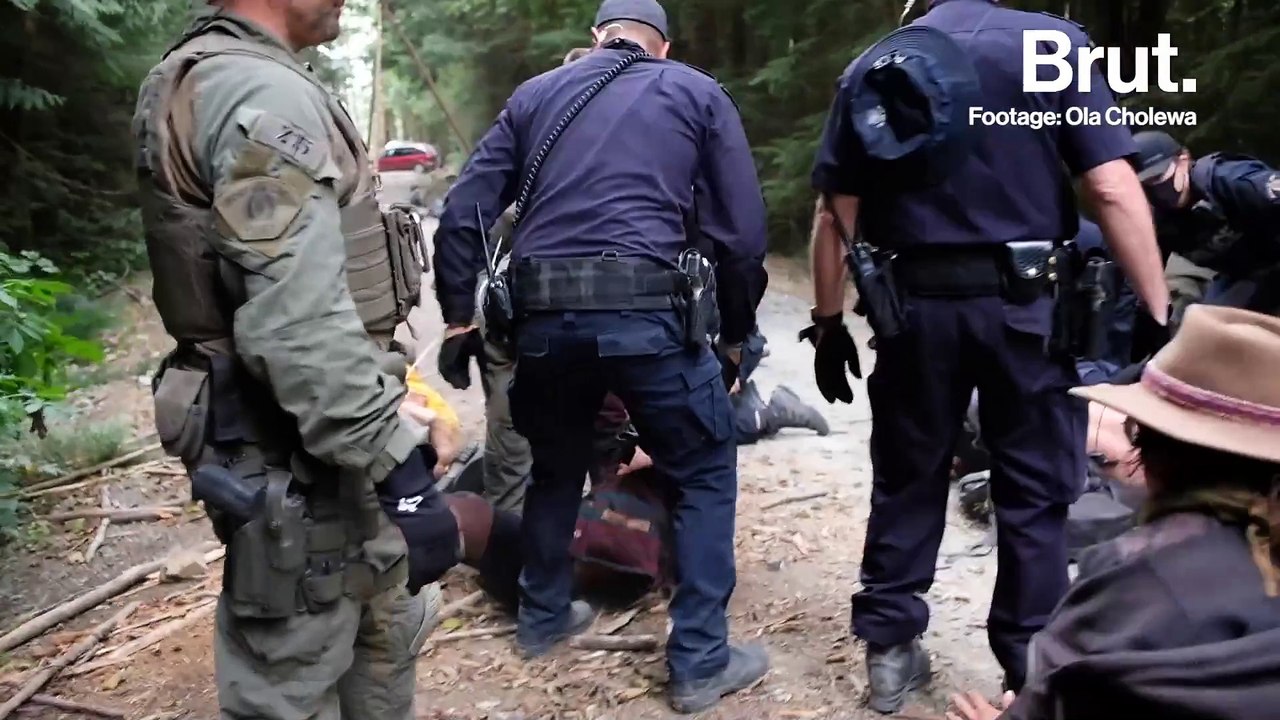 Documentary: At War for the forest: On the front lines at Fairy Creek