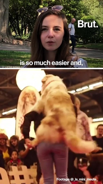 How dogs can help with ADHD