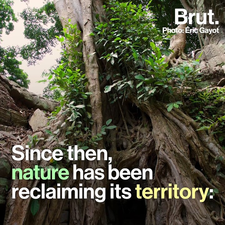 Cambodia: Ta Prohm temple's unique atmosphere