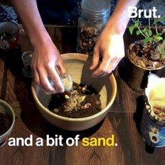 DIY garden ideas: How to make a terrarium