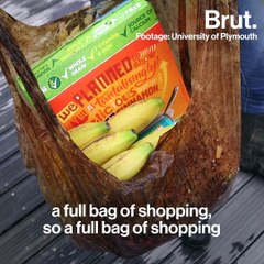 "Biodegradable" plastic bags survive three years in sea