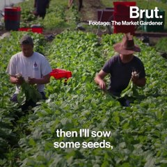 A model of biointensive farming to transform global agriculture