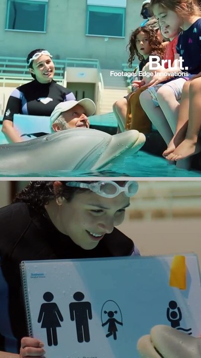 Meet Delle the robot dolphin