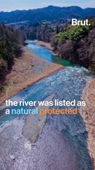 Tama River in Japan used to be significantly polluted