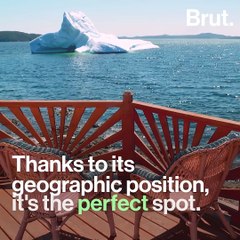 Iceberg Alley is the perfect spot for iceberg viewing