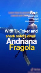 How to survive a shark attack