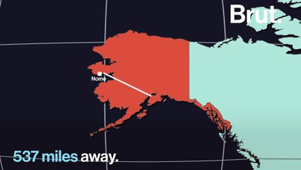 How dogs saved a whole village from a lethal disease