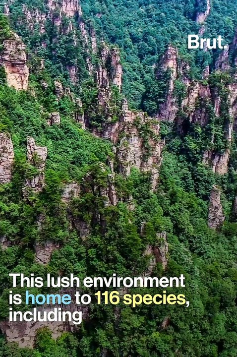 3 amazing landscapes to see in China