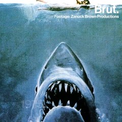 Busting the Myth of the Man-Eating Shark