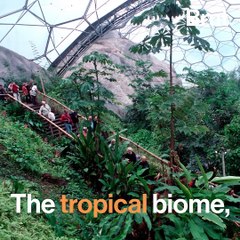 The Eden Project has been called the "eighth wonder of the world"