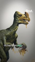 What Jurassic Park got wrong about dinosaurs