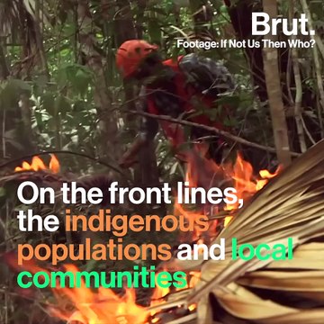 Global warming is threatening Latin American forests