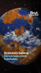 What Venus can teach us about global warming